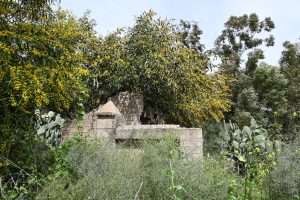 היצירה הבאה