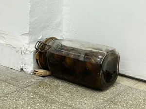 היצירה הבאה