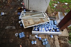 היצירה הבאה