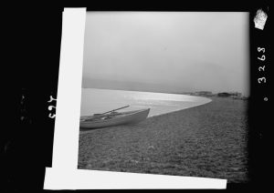 היצירה הבאה