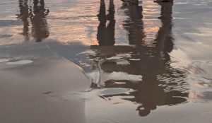 היצירה הבאה