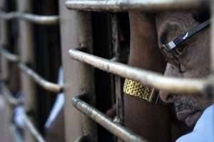 היצירה הבאה