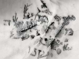 היצירה הבאה