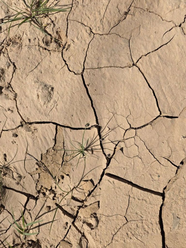 WhatsApp Image 2026-02-25 at 15.18