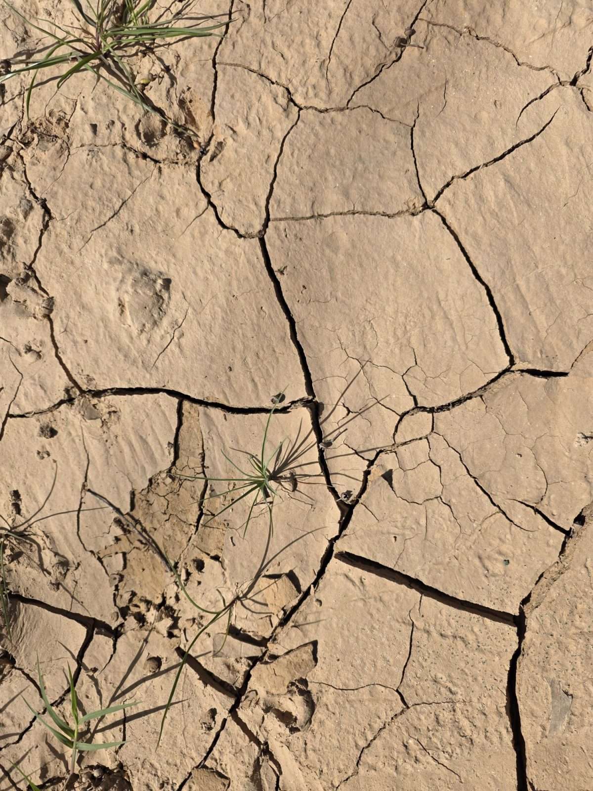 WhatsApp Image 2026-02-25 at 15.18