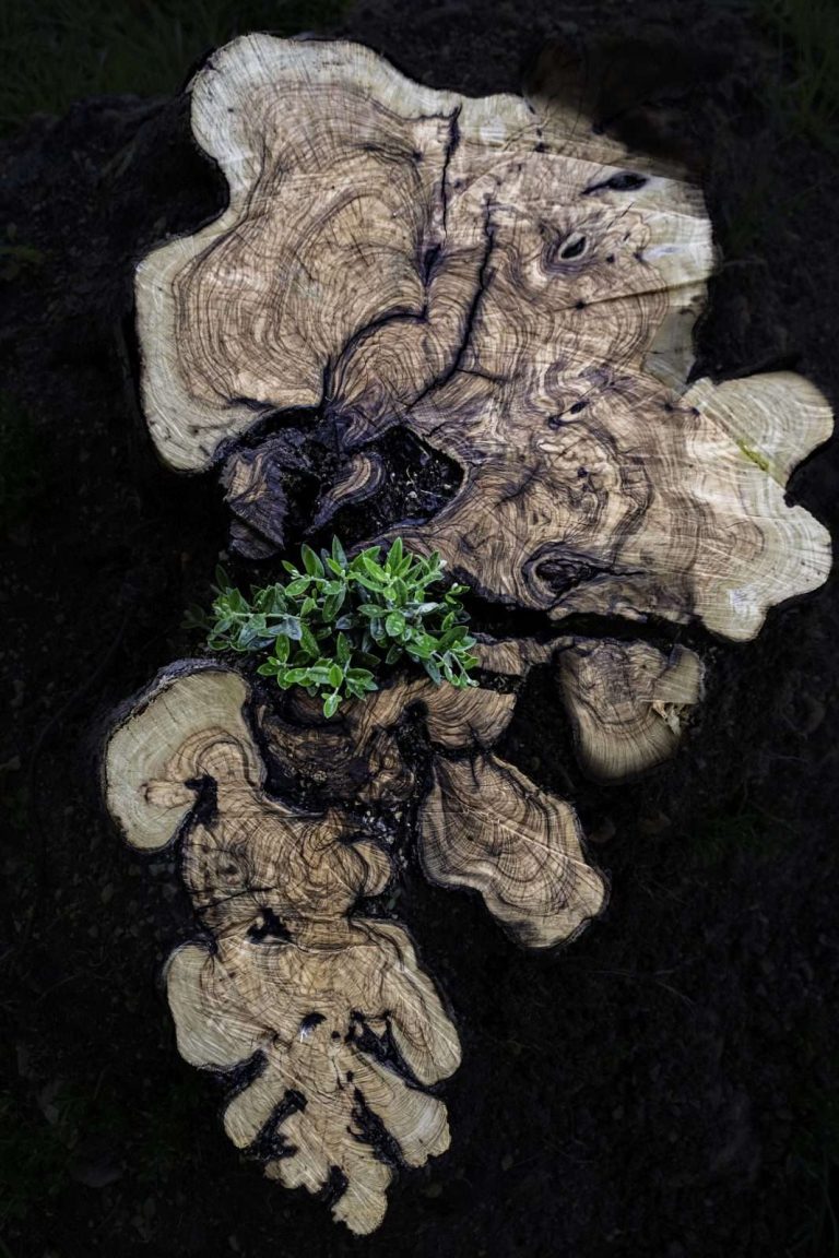 אהרון קריצר -8911