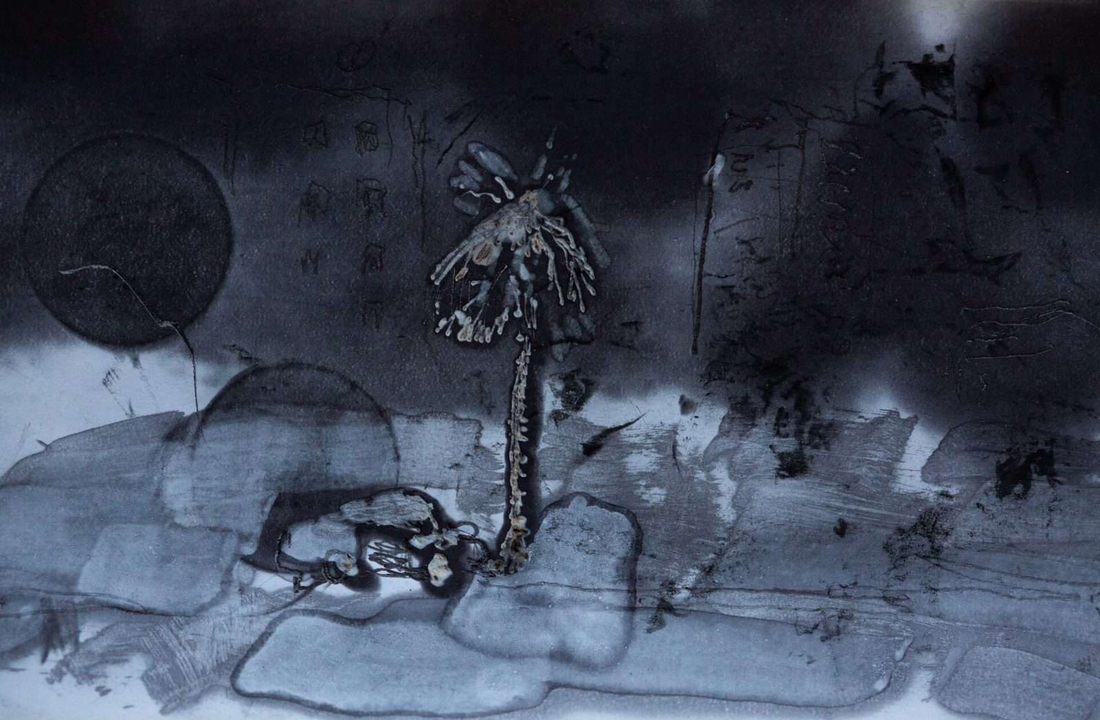 8Z1A7251